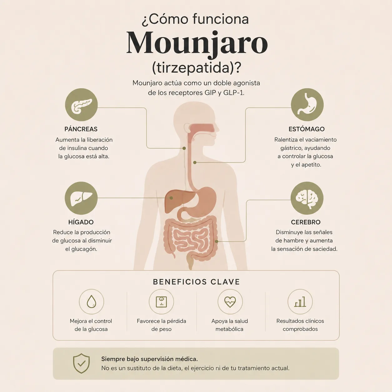 Diagrama educativo que explica cómo Mounjaro actúa sobre GLP-1, GIP, páncreas, hígado, estómago y señales de hambre