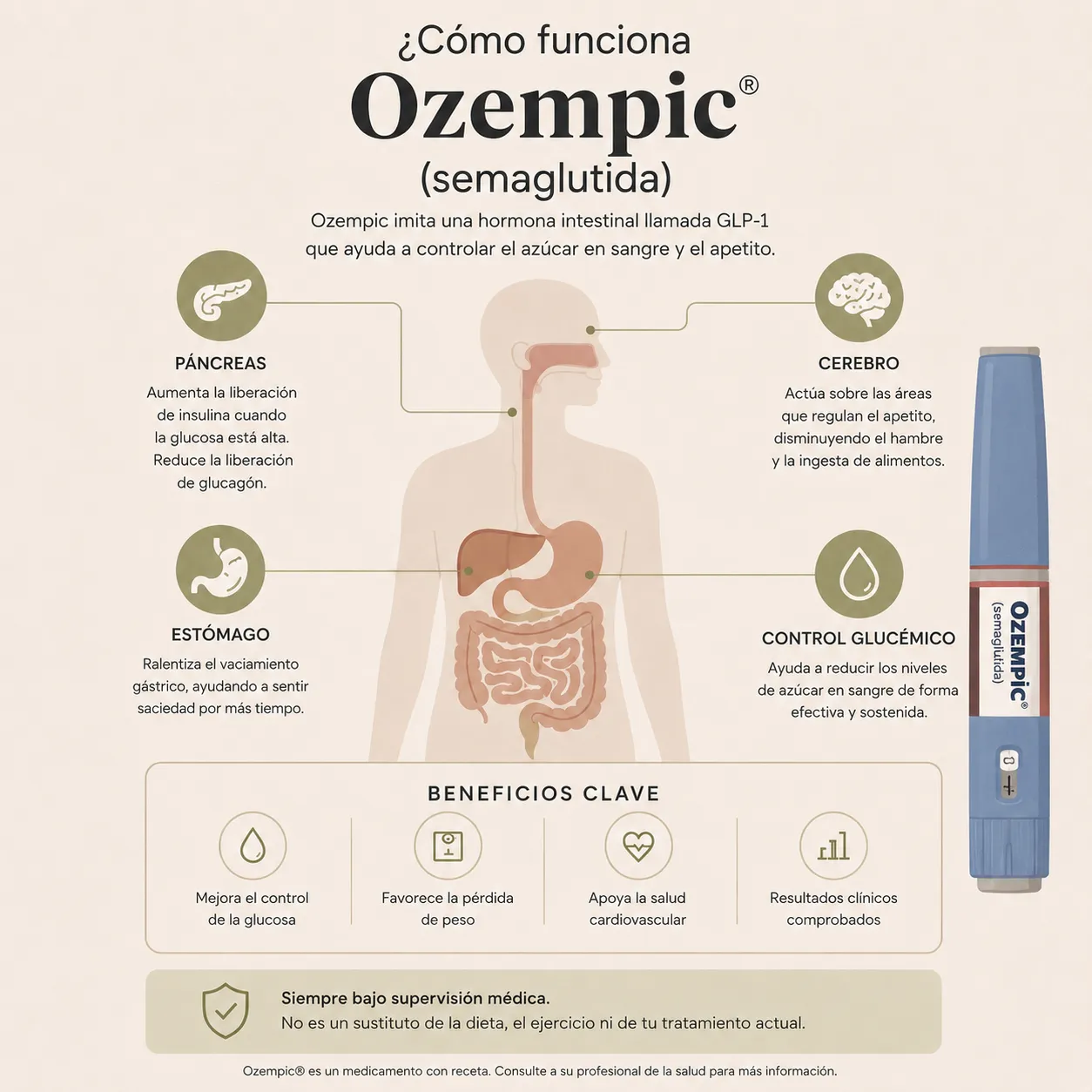 Diagrama educativo que explica cómo Ozempic actúa sobre páncreas, estómago, cerebro y control glucémico