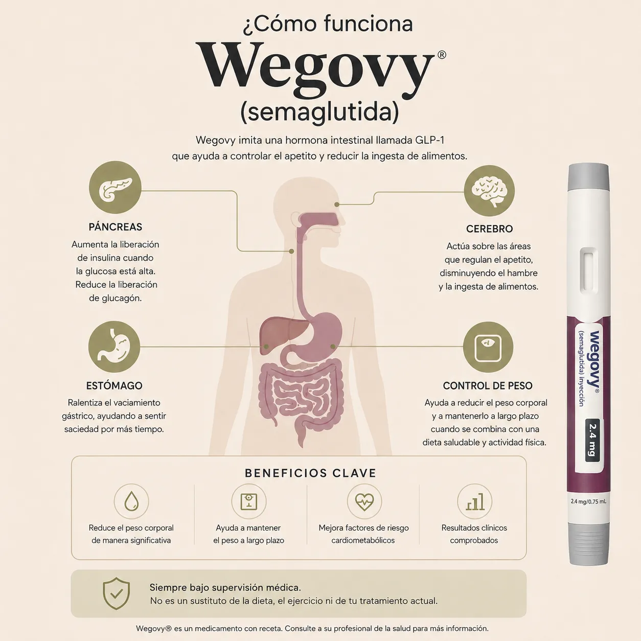 Diagrama educativo que explica cómo Wegovy actúa sobre páncreas, estómago, cerebro y control de peso